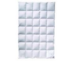 billerbeck 5542250011 Couette E04 Goldediton Mono - medium - 200x200 cm