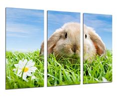 Tableau Moderne Photographique, Impression sur bois, Lapin paysage dans la prairie, animaux, 97 x 62 cm, ref. 26502