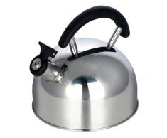 Pendeford housewares Bouilloire en INOX 2 l