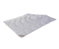 Interbett bW100110 Micro Couette 4 Saisons Lavable à 95° 135 x 200 cm, Microfibres, Blanc, 155 cm x 220 cm