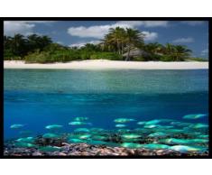 Achoka 40442 Paillasson Polyamide-PVC sans Phtalate