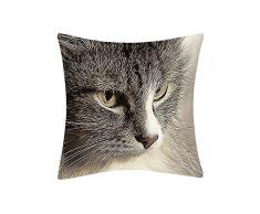 Douceur de France Coussin Imprimé Chat, Polyester, Multicolore, 40x40x15 cm