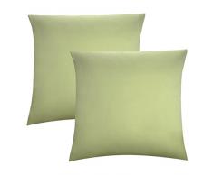 biberna 0077144Â de taies doreiller en Jersey 100% Coton avec Fermeture Ãclair, Lot de 2, 40Â X 40Â cm Vert Pistache, 27Â x 18Â x 2Â cm