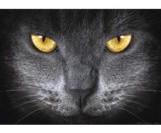 AG Design 1 Papier Peint IntissÃ©, Multicolore, 160 x 110 cm