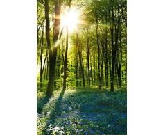 Empire Interactive Poster motif lever de soleil dans les bois avec jacinthes sauvages inclus accessoires dencadrement multicolore