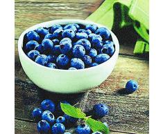 Home Fashion Serviette de Table Motif myrtilles Bleu 33 x 33 cm Taille Unique