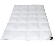 Häussling 210380501500 Royal Couette 90% duvet/10% Plumes Surpiqûre 4 x 6 Cassettes 135 x 200 cm