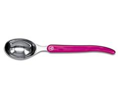 Laguiole Evolution 447810 CUILLERE A Glace Couleurs Panache, Acier Inoxydable, 21 x 4,5 x 4,5 cm