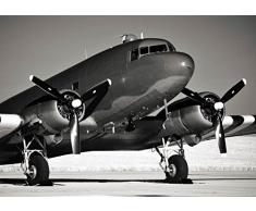 Tapisserie dÃ©co poster FORET DE BOULEAU 3 x 2,70 m | DÃ©co et photo murale XXL QualitÃ© HD Scenolia