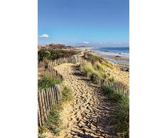 Poster vertical XL dÃ©co SENTIER DU LITTORAL 150 x 240 cm | Trompe lÅil DÃ©co murale QualitÃ© HD Scenolia