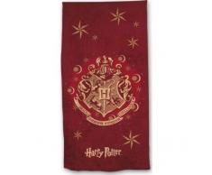 Carbotex Serviette de Plage, Multicolore, 70x140cm