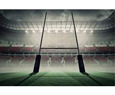 Scenolia Tableau sur Toile Stade DE Rugby 60 x 40 cm | dÃ©co Murale 100% Fabrication franÃ§aise