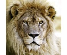 Scenolia Tableau sur Toile Lion 60 x 60 cm | décoration Murale Design imprimée en France