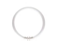 Philips TL5-C PRO Ampoule fluorescente Blanc chaud 22 W 830 22 W 140 x 220 mm