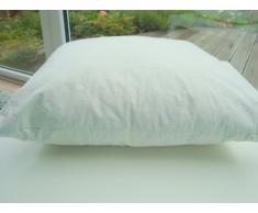 Clayre & Eef VK50 Coussin en Plumes 50 x 50 cm