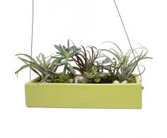 Chive Ranga Pot en céramique à Suspendre en Forme de Vase Vert Chartreuse