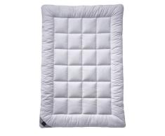 billerbeck Couette 321 Classic-Clean Duo - chaude - 200x200 cm