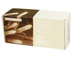 Best Season 592-40 Serie Micro Guirlande lumineuse / filet 160 LED 2 x 1,5 m