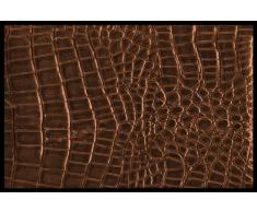 Achoka 40463 Paillasson Polyamide-PVC sans Phtalate