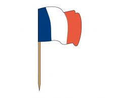 Garcia de Pou 144 unité Drapeau Picks France dans Une boîte en Bois, Assortis, 4 x 2.5 x 6.5 cm