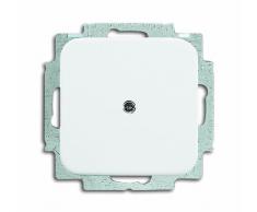 Busch-Jaeger 2538-214 Plaque store, Central