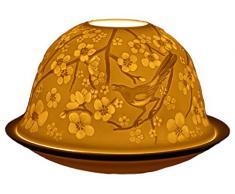 Him DL0070 Printemps (Herold of Spring) - photophore en Porcelaine, Blanc CassÃ©, 12x12x8 cm