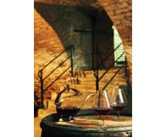 Peugeot 230227 Carafe Amiral