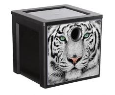 Sundis 4477033 Cube de Rangement avec Bac indépendant/Paroi Amovible, Plastique, Trendy