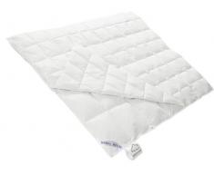 Hanskruchen Nobel House / 975.83.005 Couette duvet 4 saisons 135 x 200 cm LÃ©ger 220 g / moyen 480 g CombinÃ©es 700 g