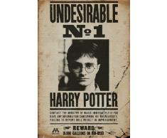 HARRY POTTER GB Eye LTD, Poster, 61 x 91,5 cm