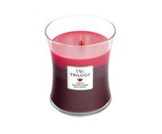 WoodWick Trilogy bougie jarre moyenne parfumÃ©e avec mÃ¨che Pluswick, Baies ensoleillÃ©es