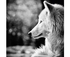 Scenolia Tableau Verre Acrylique Entre Chien ET Loup 90 x 90 cm | DÃ©coration Murale Design XL Fait en France