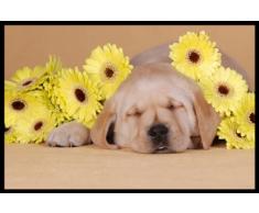 Digital Republic.com 40143 Paillasson Polyamide-PVC sans Phtalate