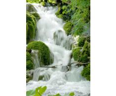 Empire 169785 Feng Shui Cascade Poster