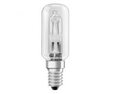 Xavax Ampoule halogène pour hotte aspirante (40W, E14, 490 lm, 2000 h, blanc chaud, forme tube) Transparent