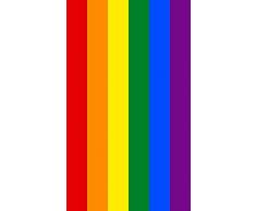 DHESTIA HOME DHestia Grande Serviette de Plage LGTB en Coton 100 x 170 cm, Arc-en-Ciel, Multicolore, 100 x 170 cm