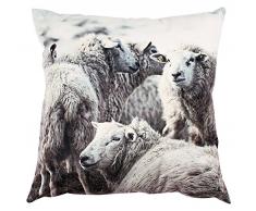 Soleil docre Coussin DÃ©co DÃ©houssable, Polyester, Multicolore, 45 x 45 cm
