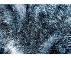 Delester Design A11074R12Z Tapis Vinyle, Multicolore, 120 x 70 x 0,2 cm