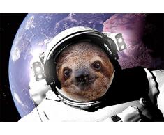 Poster Motif : paresseux +/in Space Bunt