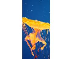 PeelitStickit ID-072 60 Largeur x Hauteurâ¯: 130 cm Eau de Haute qualité Papier Peint Mural en Vinyle