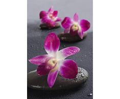 Scenolia Tableau Verre Acrylique KI 60 x 90 cm | DÃ©coration Murale Design Fait en France