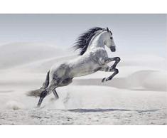 Scenolia Tableau sur Toile Cheval dans Le DÃSERT 60 x 40 cm | dÃ©co Murale 100% Fabrication franÃ§aise