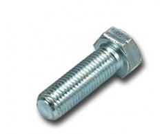 Home Lot de 2 pinceaux de Cuisine, 2,5 cm, Verre, Multicolore