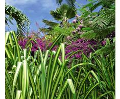 Papier Peint déco poster JARDIN EXOTIQUE 3 x 2,70 m | Déco et photo murale XXL Qualité HD Scenolia