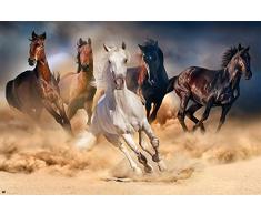 empireposter 738097Â ChevauxÂ âÂ FeuxÂ âÂ Nature Poster Chevaux de PhotoÂ âÂ Dimensions 91.5Â x 61Â cm, Papier, Multicolore, 91,5Â x 61Â x 0,14Â cm