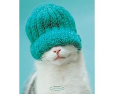 Empire Rachael Hale chat 150660 Mini Poster 50 x 40 cm