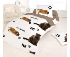 Van Der Haegen & Neckebroeck 1 Housse de Couette 2 Personne, 2 Taies placÃ©es, Coton, Multicolore, 43x24,5x4 cm