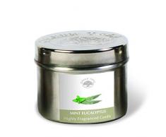 GREEN TREE CANDLE 0805460312546Â Eucalyptus Menthe Bougie parfumÃ©e