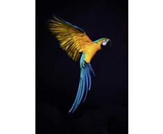 Scenolia Tableau Grand Format Verre Acrylique VOL DE Perroquet 90 x 130 cm | DÃ©coration Murale Design FabriquÃ© en France