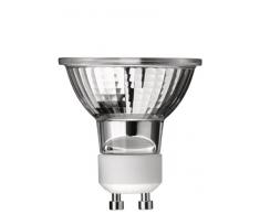 Philips Ampoule Halogène Spot Culot GU10 35 Watts